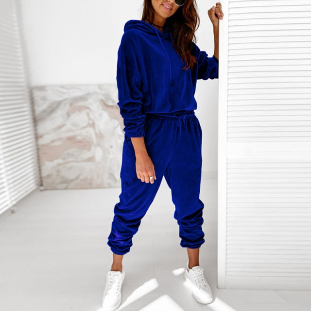 Alexis Women's Velour Hooded Jogger