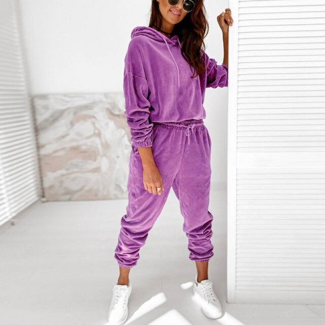 Alexis Women's Velour Hooded Jogger