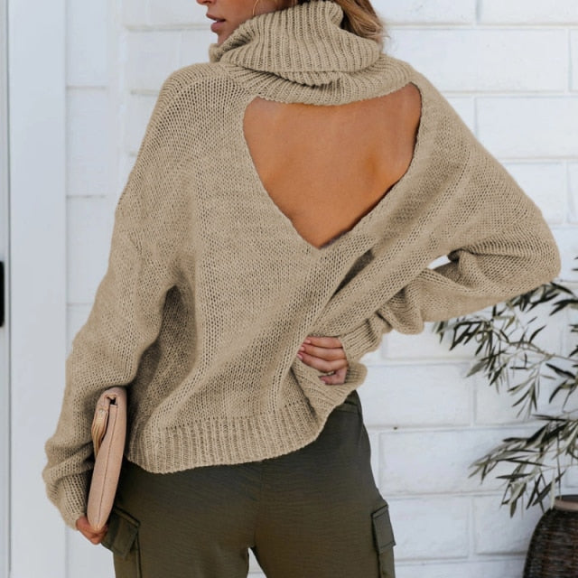 Leticia Women's Turtleneck Sweater